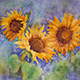 Summer Sunflowers